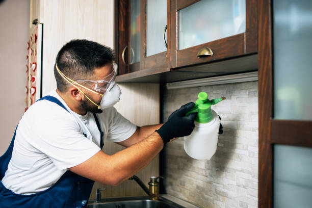 Best Commercial Pest Control Services  in Healdsburg, CA