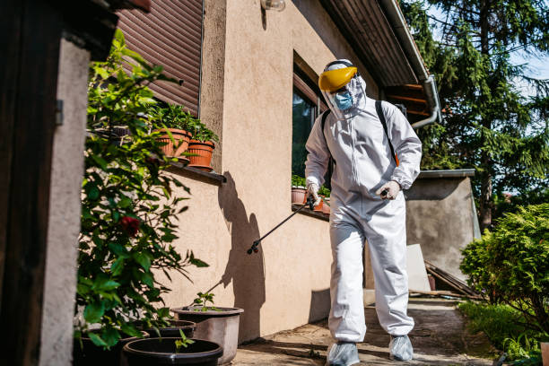 Best Wasp Removal Services  in Healdsburg, CA
