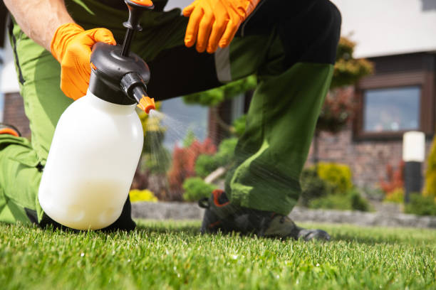 Best Local Pest Control Services  in Healdsburg, CA