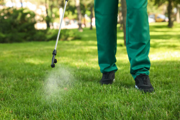 Best Flea Control Services  in Healdsburg, CA