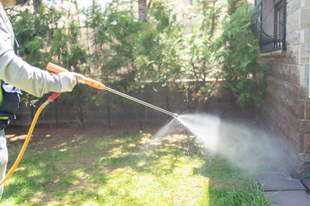 Best Best Pest Control Companies  in Healdsburg, CA