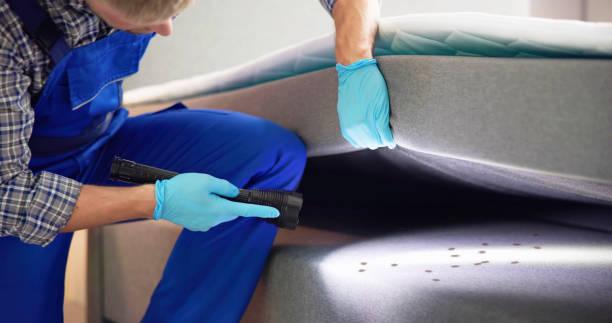 Best Emergency Pest Control  in Healdsburg, CA